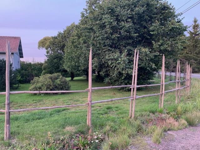 הוילה Vehmaa Basic Finland House With Big Garden מראה חיצוני תמונה